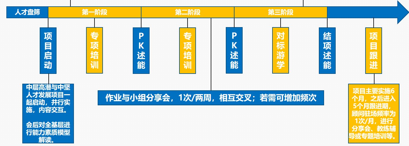 項目實施流程