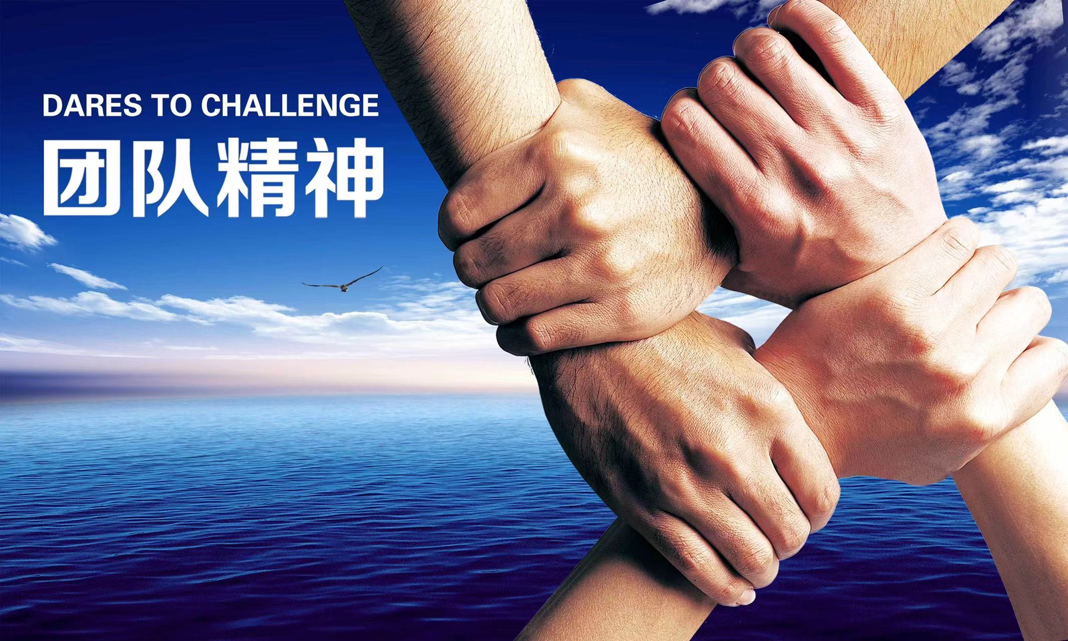 團隊合作1.jpeg