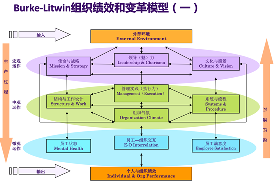 麥肯錫2.png
