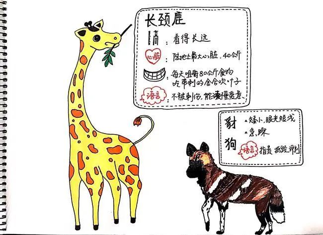 長頸鹿.jpg