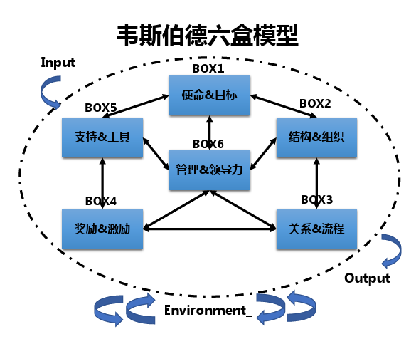 組織診斷——六盒模型(圖1)