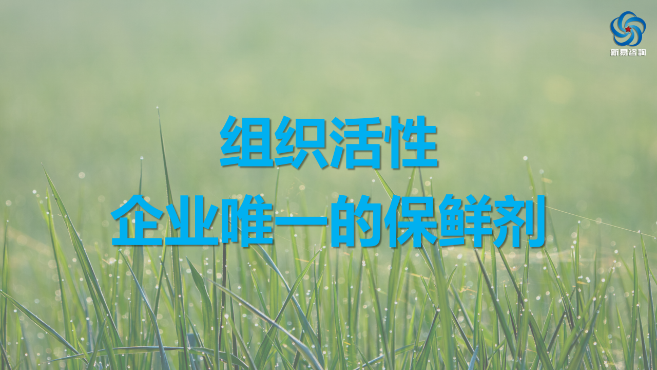 2025 組織破局關鍵詞(圖8)
