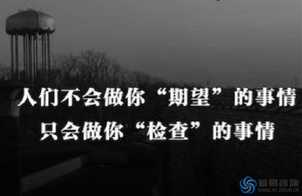 那些勤奮的懶人們——新易咨詢(圖2)